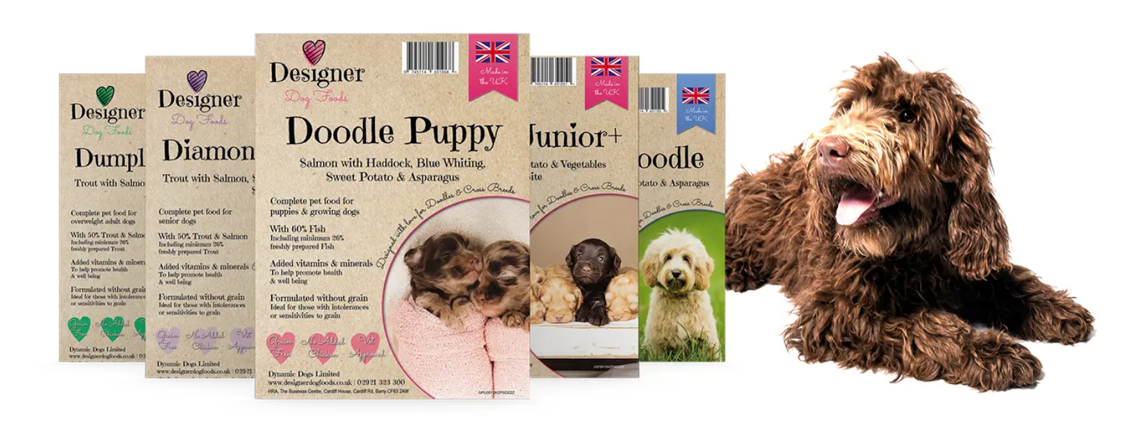 Best dry dog food for labradoodles cockapoos and poodle crosses Designer Dog Foods